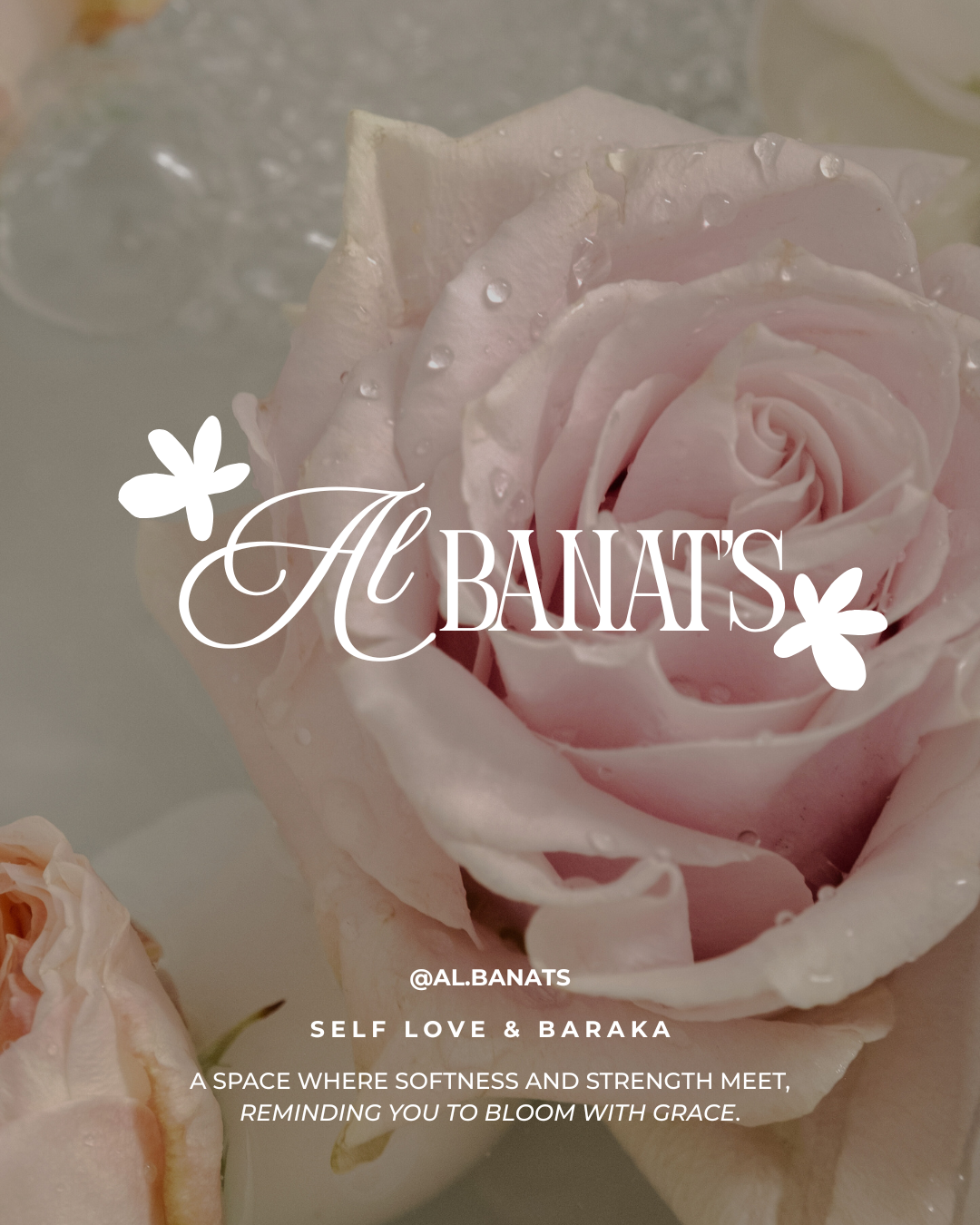 Application pour femmes Al Banat's – aperçu de l’interface Albanats